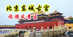 老外15P中国北京-东城古宫旅游风景区