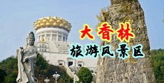 大鸡巴日小浪骚逼黄片中国浙江-绍兴大香林旅游风景区